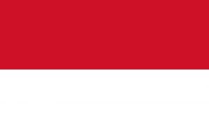 flag of Indonesia